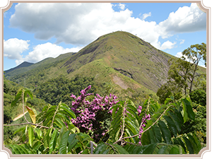 Paisagem Pousada